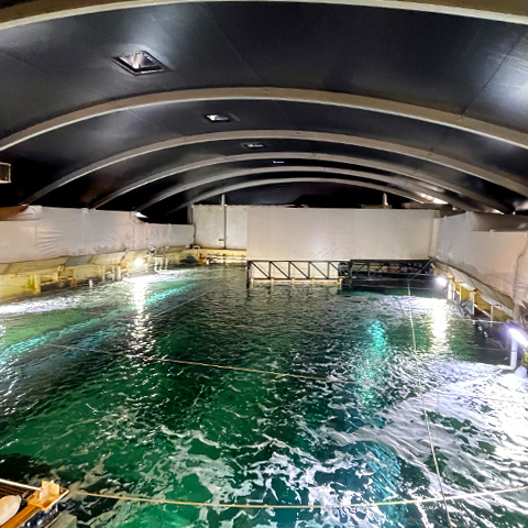 Sydney Aquarium Shrink Wrap - Stronghold Hire - Feature