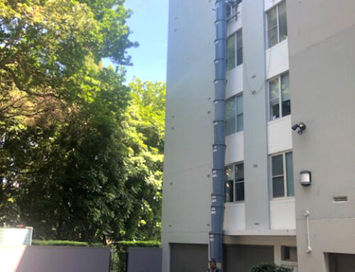 Rubbish Chute, Point Piper